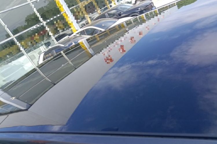 Used Li Auto L9 2022 Max model Roof