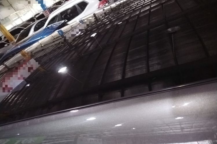 Used Li Auto L9 2022 Max model Roof
