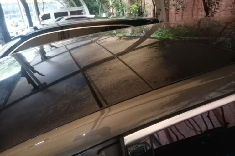 Used Li Auto L9 2022 Max model Roof