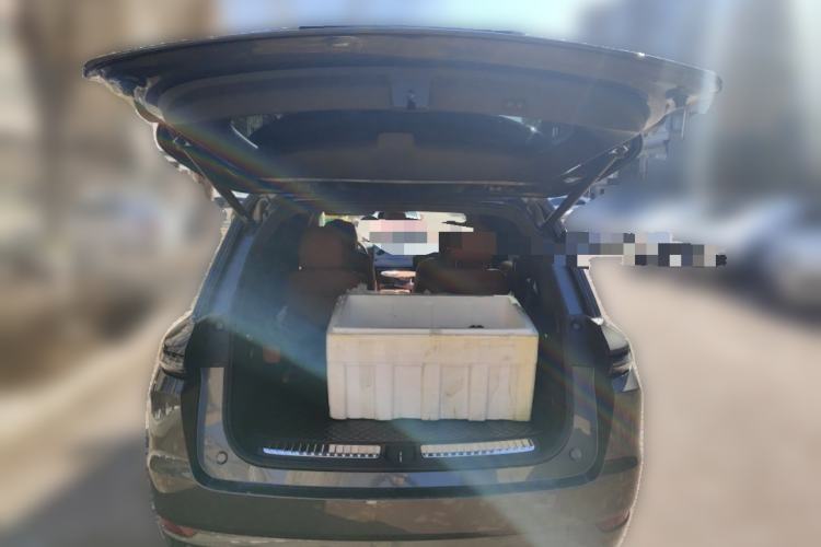 Used Li Auto L9 2022 Max model Trunk