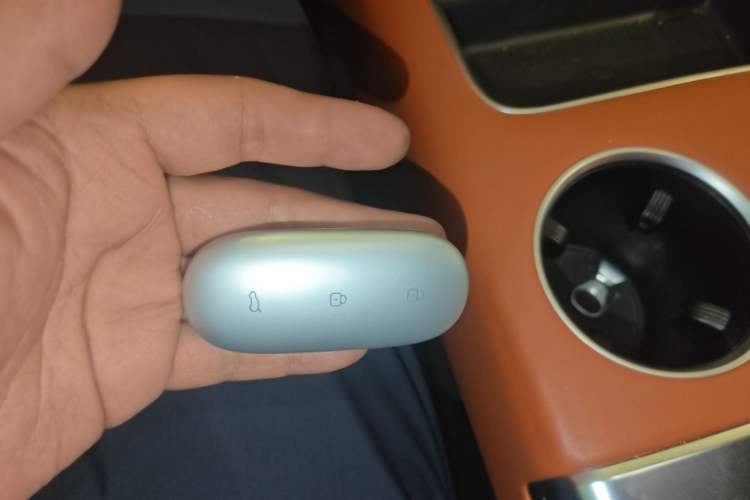 Used Li Auto L9 2022 Max model Vehicle Key
