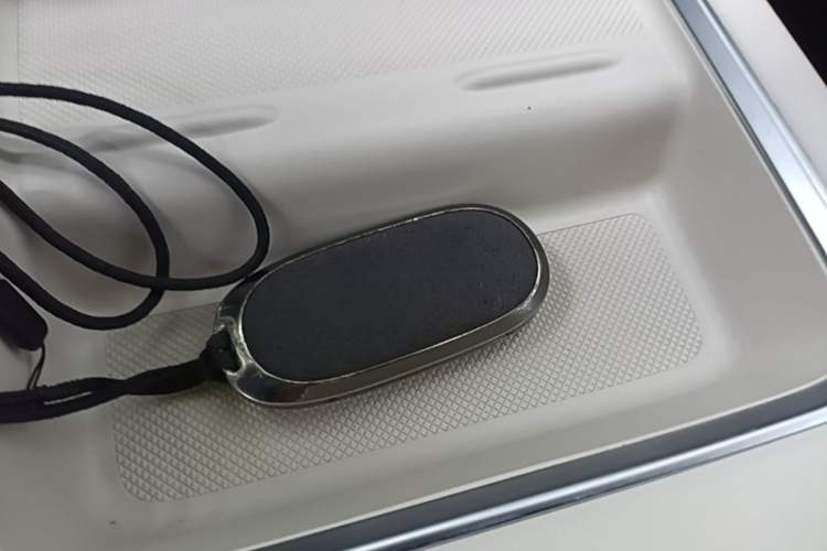 Used Li Auto L9 2022 Max model Vehicle Key