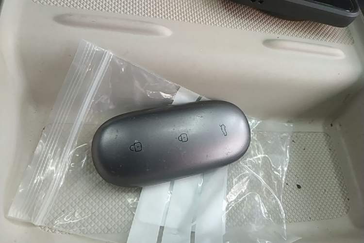 Used Li Auto L9 2022 Max model Vehicle Key