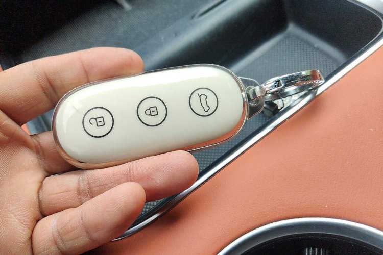 Used Li Auto L9 2022 Max model Vehicle Key