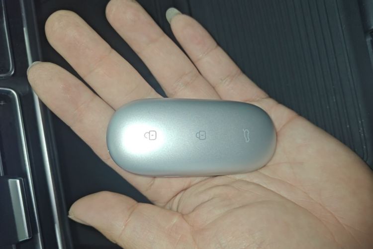 Used Li Auto L9 2022 Max model Vehicle Key
