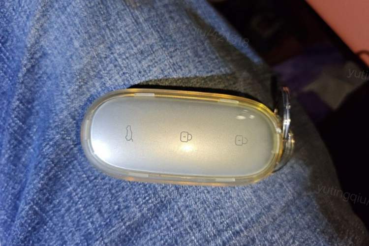 Used Li Auto L9 2022 Max model Vehicle Key