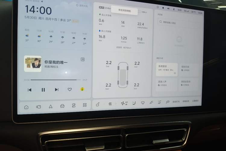 Used Li Auto L9 2022 Max model Audio And AC Panel