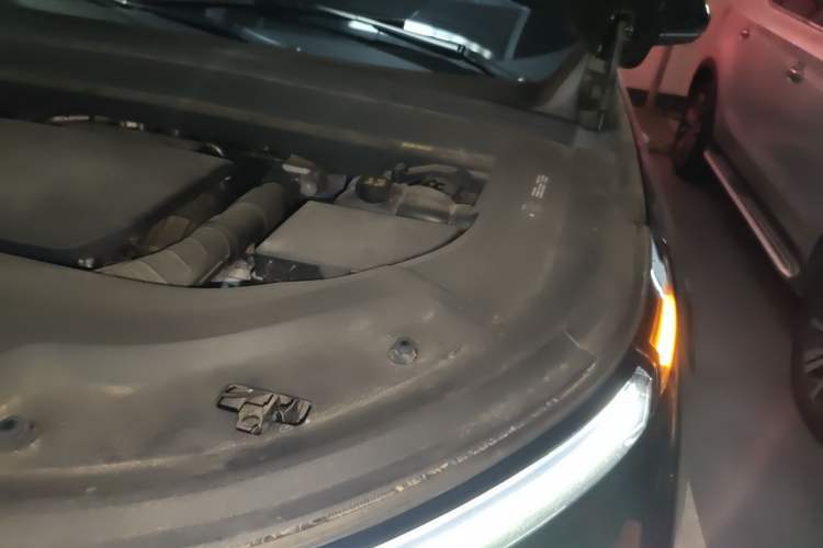 Used Li Auto L9 2022 Max model Engine Bay Left