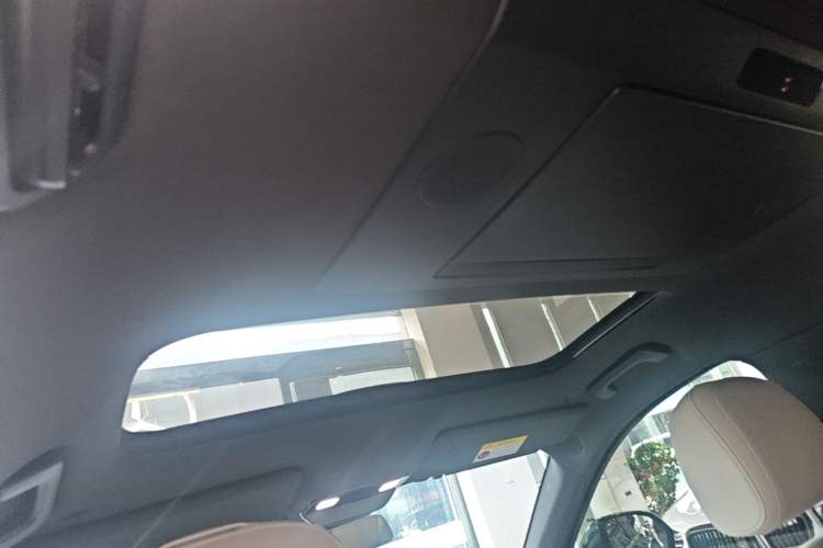 Used Li Auto L9 2022 Max model Headliner