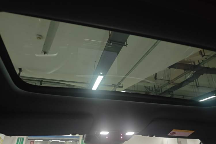 Used Li Auto L9 2022 Max model Headliner