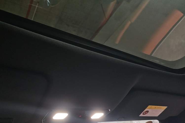Used Li Auto L9 2022 Max model Headliner