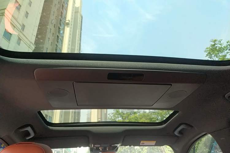 Used Li Auto L9 2022 Max model Headliner