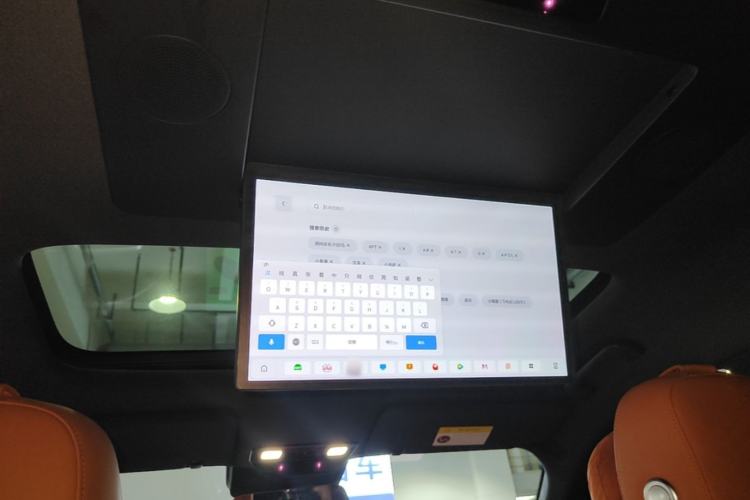 Used Li Auto L9 2022 Max model Headliner