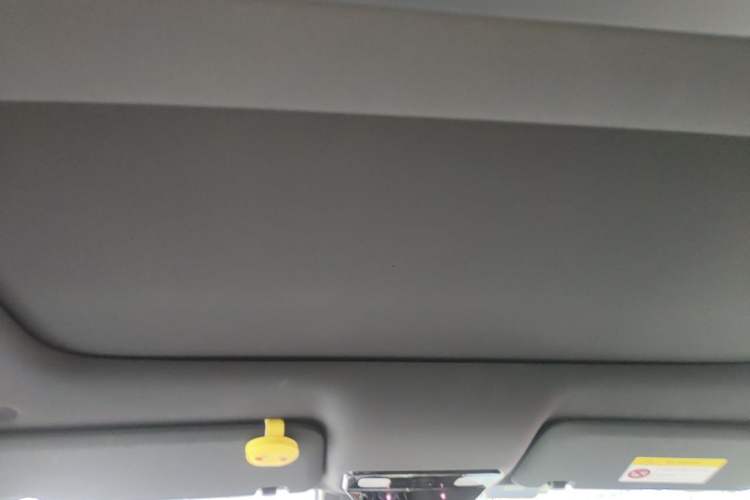 Used Li Auto L9 2022 Max model Headliner