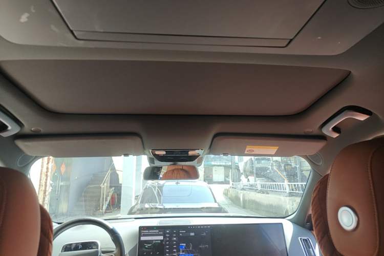 Used Li Auto L9 2022 Max model Headliner
