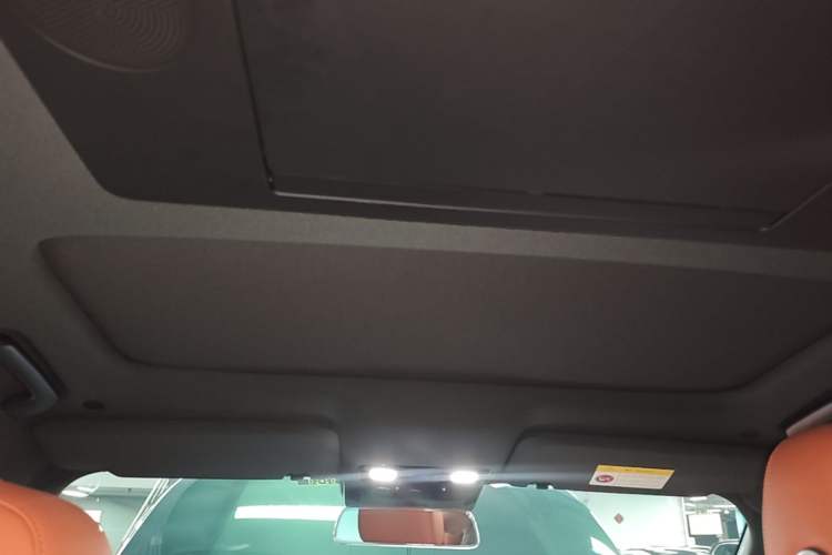 Used Li Auto L9 2022 Max model Headliner