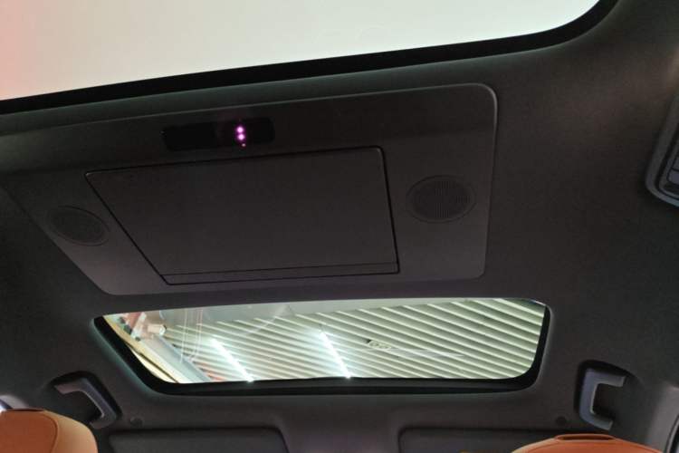 Used Li Auto L9 2022 Max model Headliner