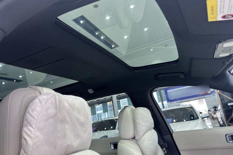 Used Li Auto L9 2022 Max model Headliner
