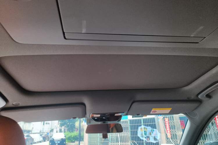 Used Li Auto L9 2022 Max model Headliner