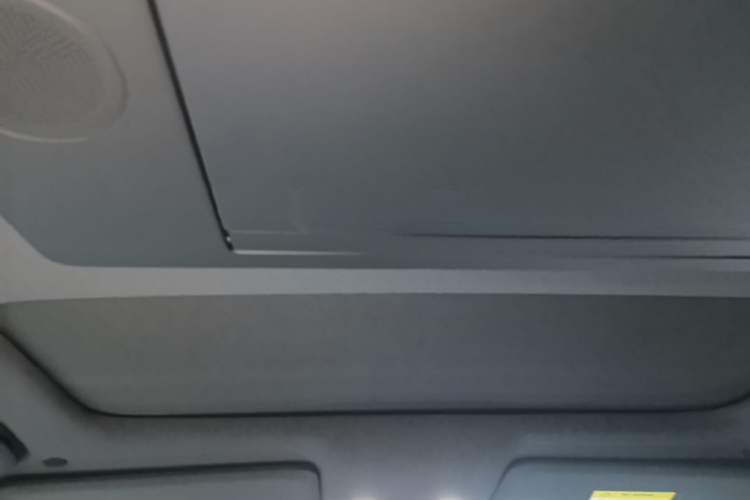 Used Li Auto L9 2022 Max model Headliner