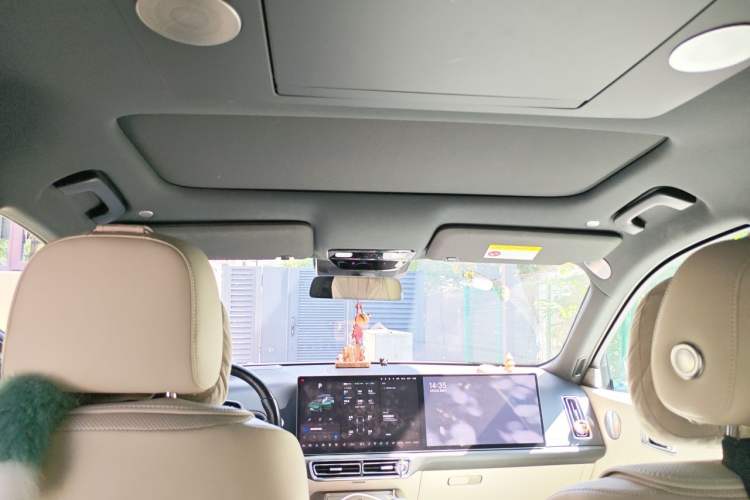 Used Li Auto L9 2022 Max model Headliner