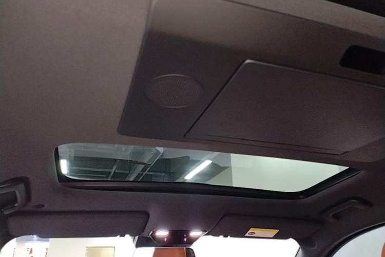 Used Li Auto L9 2022 Max model Headliner