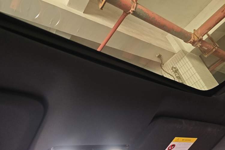 Used Li Auto L9 2022 Max model Headliner