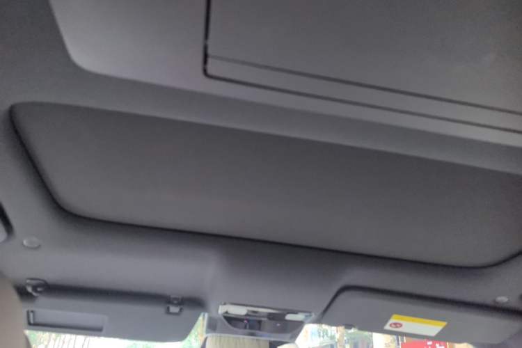 Used Li Auto L9 2022 Max model Headliner