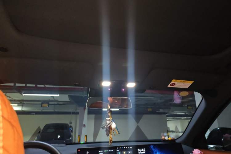 Used Li Auto L9 2022 Max model Headliner