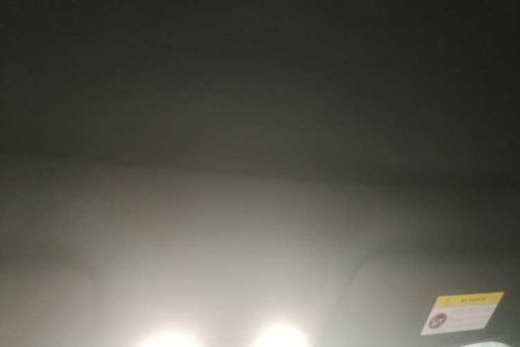 Used Li Auto L9 2022 Max model Headliner