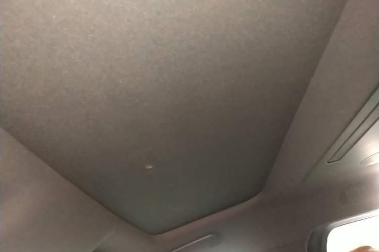 Used Li Auto L9 2022 Max model Headliner