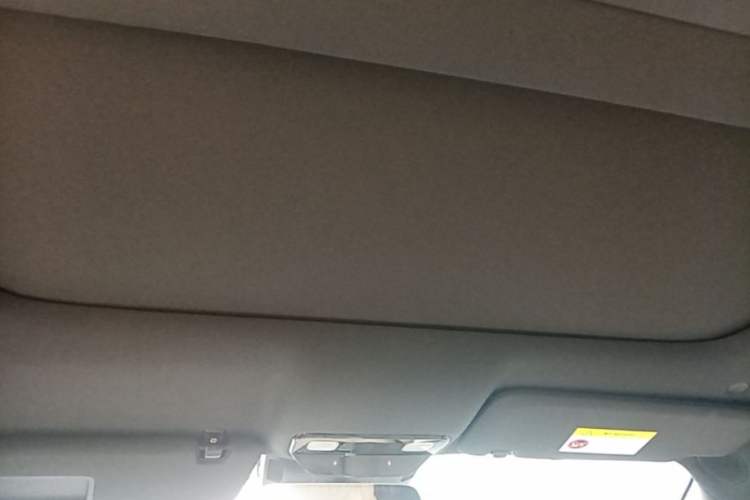Used Li Auto L9 2022 Max model Headliner