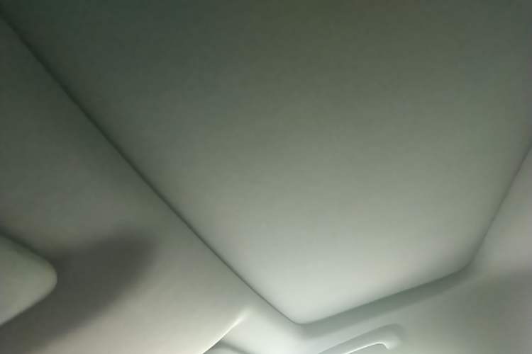 Used Li Auto L9 2022 Max model Headliner