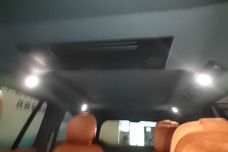 Used Li Auto L9 2022 Max model Headliner