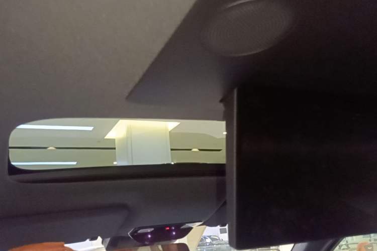 Used Li Auto L9 2022 Max model Headliner