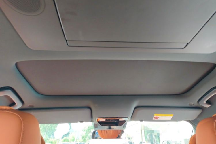Used Li Auto L9 2022 Max model Headliner