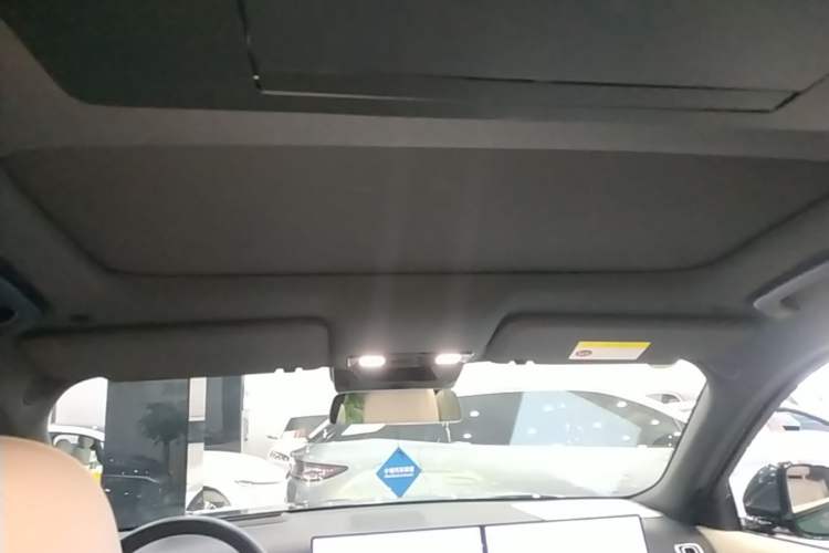 Used Li Auto L9 2022 Max model Headliner