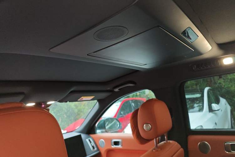 Used Li Auto L9 2022 Max model Headliner