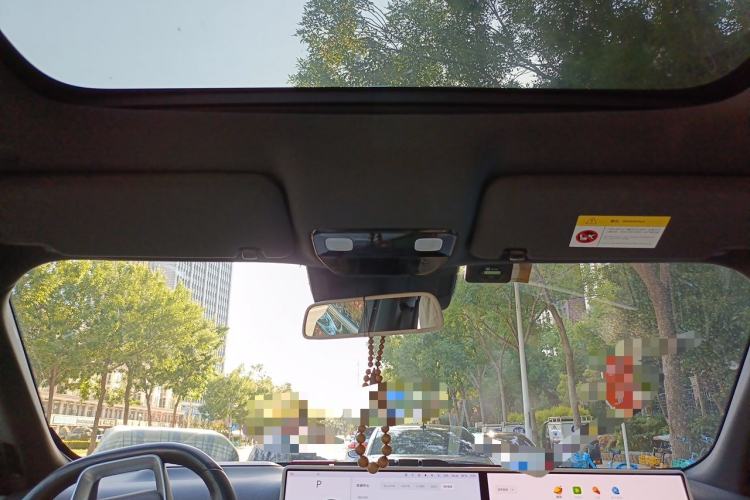 Used Li Auto L9 2022 Max model Headliner