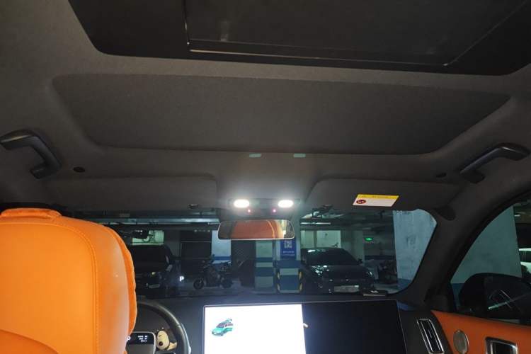 Used Li Auto L9 2022 Max model Headliner