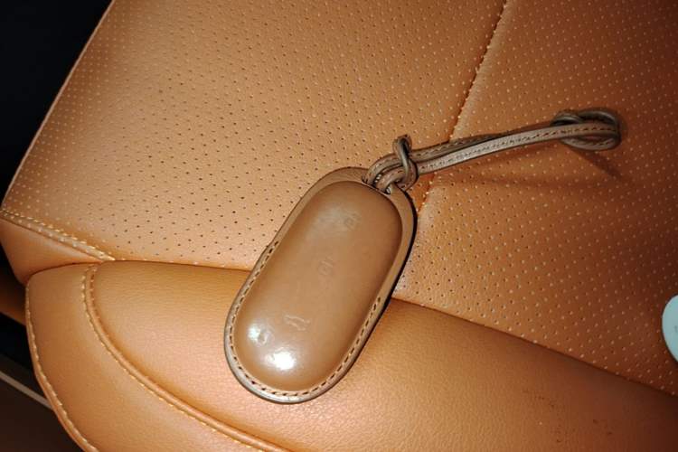 Used Li Auto L9 2022 Max model Interior 1