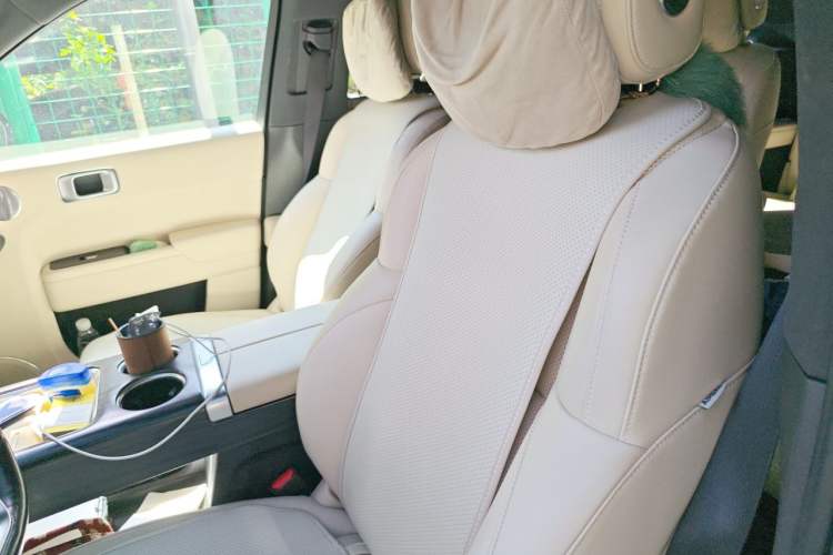 Used Li Auto L9 2022 Max model Left Front Seat