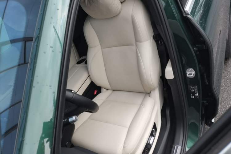 Used Li Auto L9 2022 Max model Left Front Seat