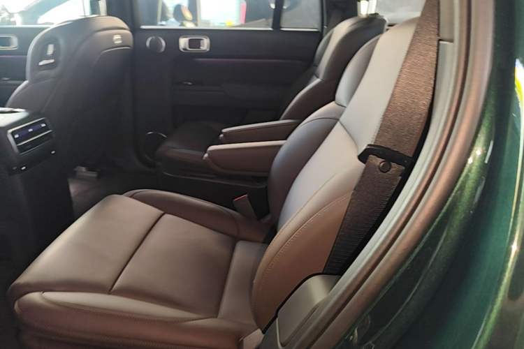 Used Li Auto L9 2022 Max model Left Rear Seat