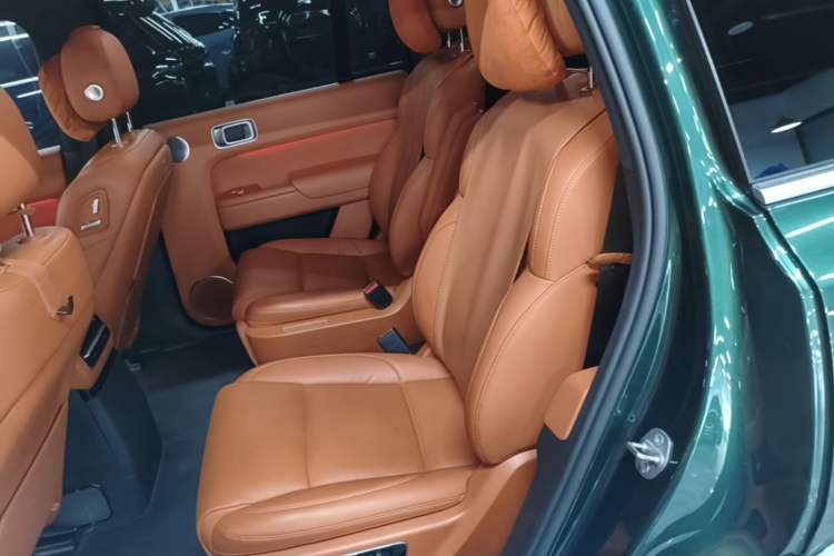 Used Li Auto L9 2022 Max model Left Rear Seat