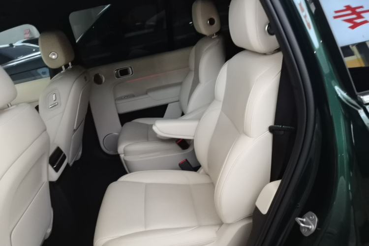 Used Li Auto L9 2022 Max model Left Rear Seat