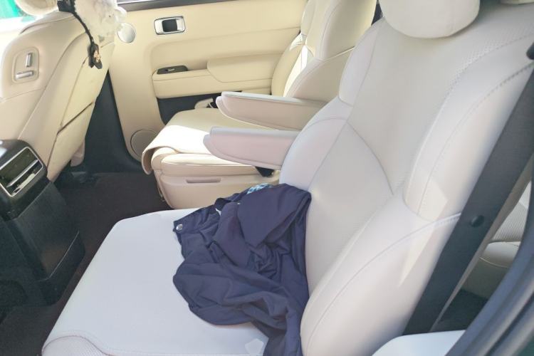 Used Li Auto L9 2022 Max model Left Rear Seat
