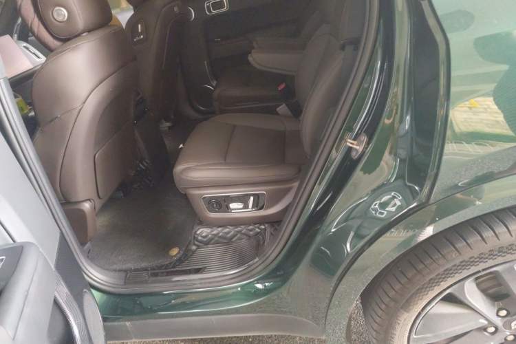 Used Li Auto L9 2022 Max model Left Rear Seat