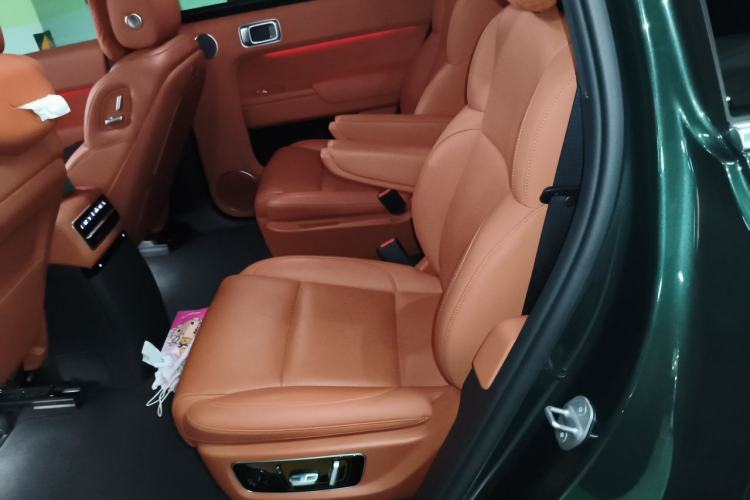 Used Li Auto L9 2022 Max model Left Rear Seat