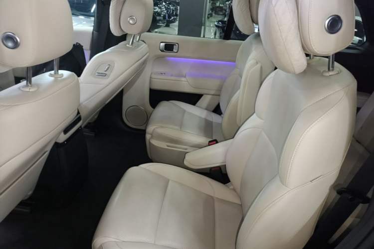 Used Li Auto L9 2022 Max model Left Rear Seat